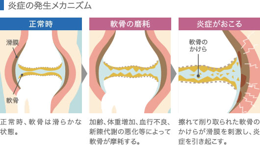 8: 前後にローリング
